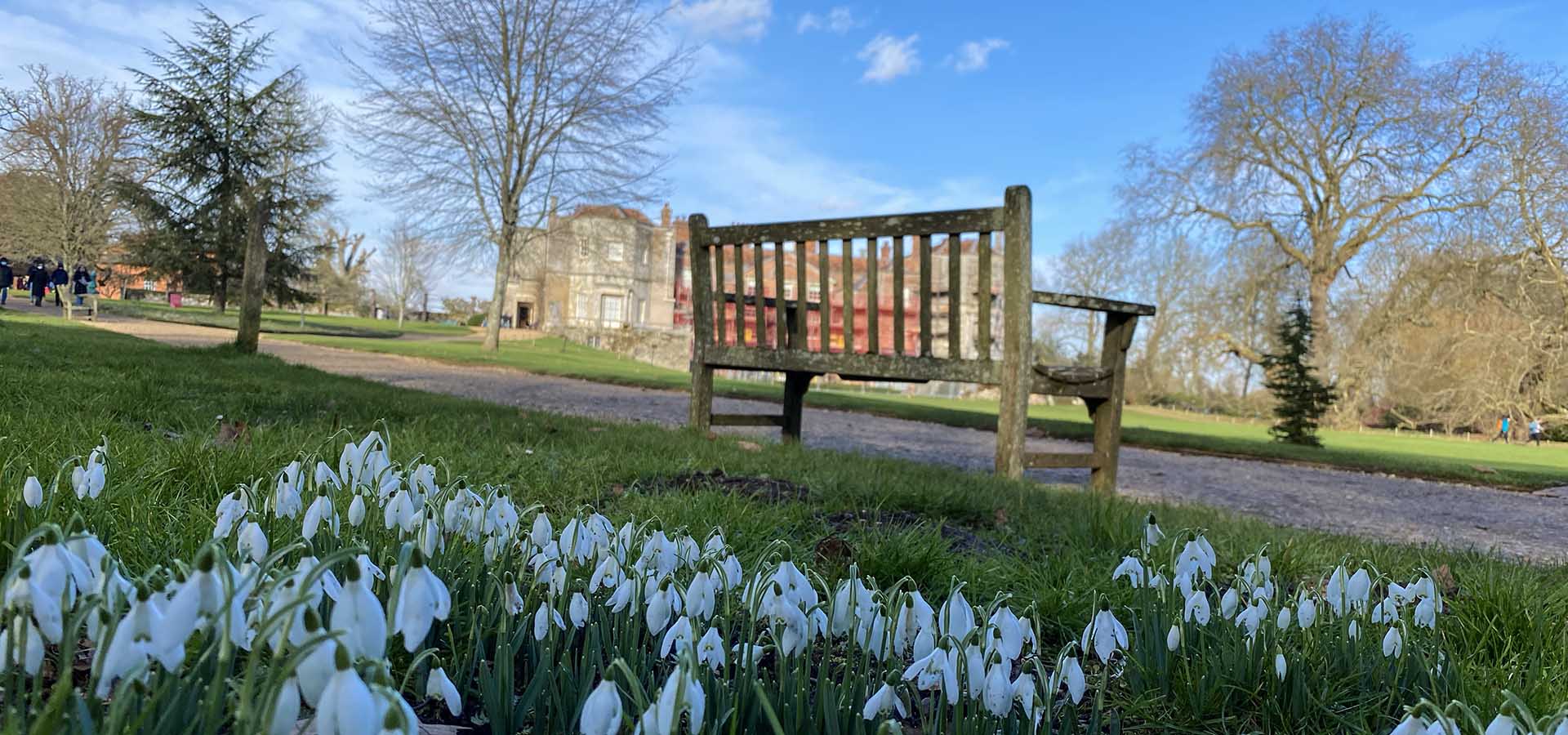 Snowdrops in Hampshire insidehampshire