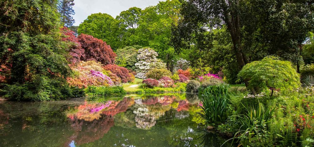 Exbury Gardens Azalea Bowl